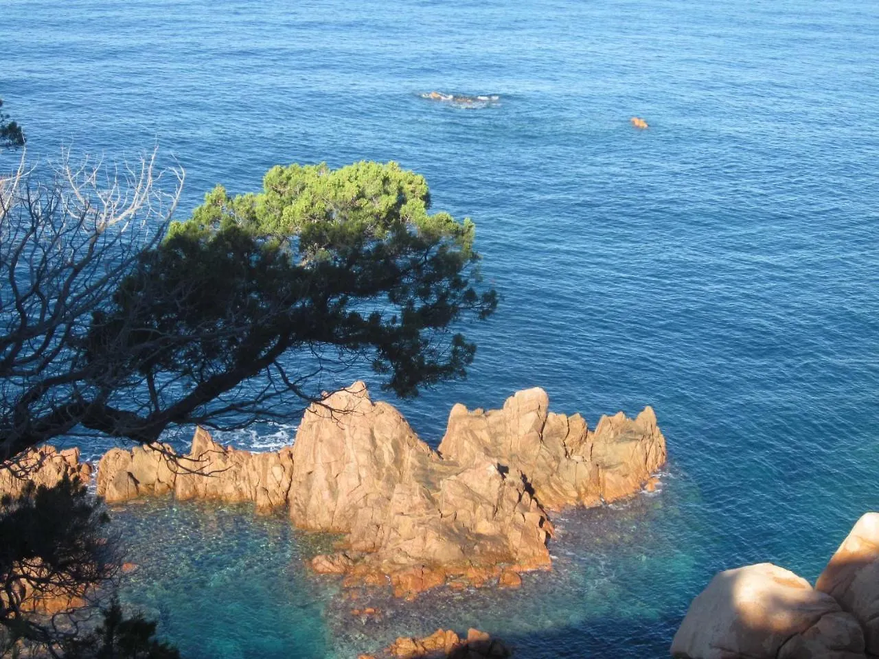 Breathtaking Sea View Villa - Nuvola Azzurra Costa Paradiso